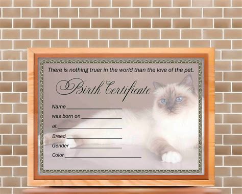 Cat Birth Certificate Template 2020 FREE Download (Version 1) Cat