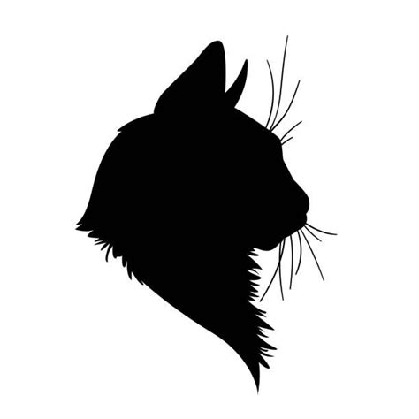New cat silhouette tattoo. Represents my inner crazy cat