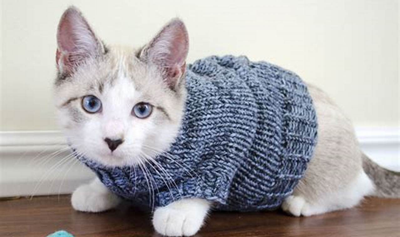 Cat Sweater Pattern: Crafting Comfort and Style for Your Feline Friend