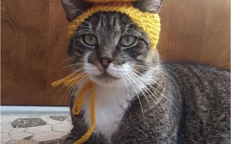 Cat Hat Crochet Free Pattern: How to Make a Cute Hat for Your Feline Friend