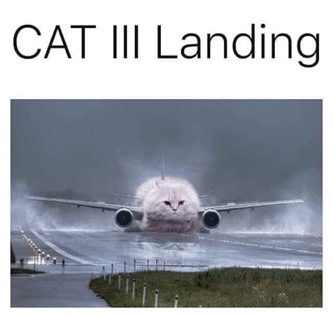 Cat 3 Landing Meme
