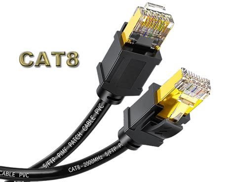 Cat 8 Ethernet Cable Future