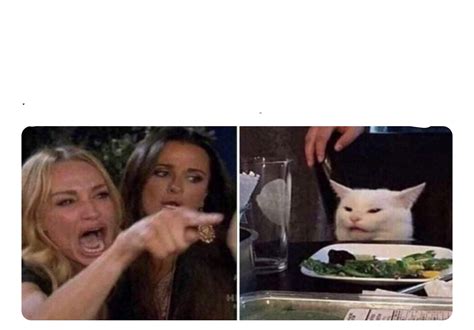 Cat At Dinner Table Meme Template