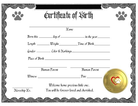 Cat Birth Certificate Template 2020 FREE Download (Version 1) Cat