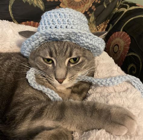 Cat Bucket Hat Crochet Pattern