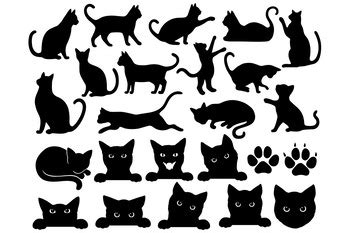 Download Cat Bundle Cameo