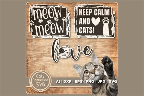 Download Cat Bundle Files Free PSD Mockups