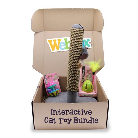 Download Cat Bundle Images