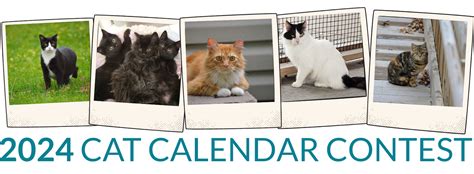 Cat Calendar Contest 2024
