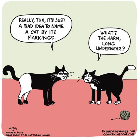 Cat Cartoon Funny