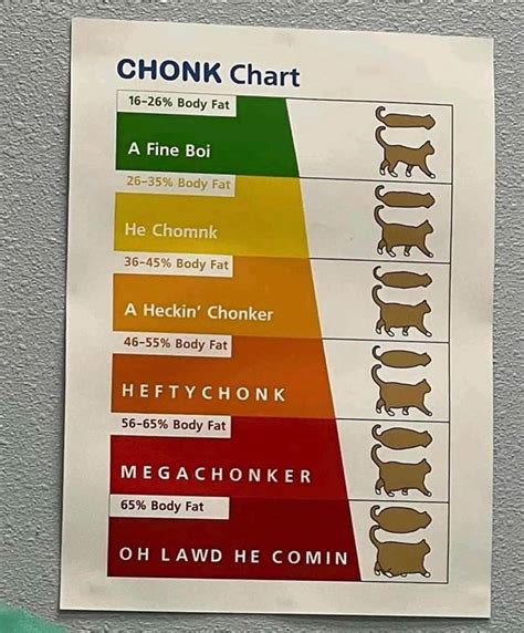 Cat Chonk Chart
