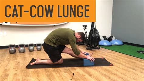 Cat Cow Lunge