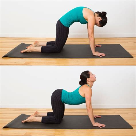 Cat Cow Pose