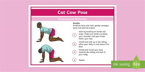Cat Cow Pose Instructions
