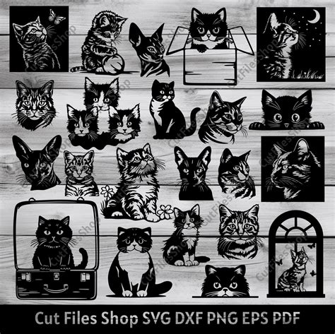 Download Cat Design Bundle Cricut SVG DXF Files