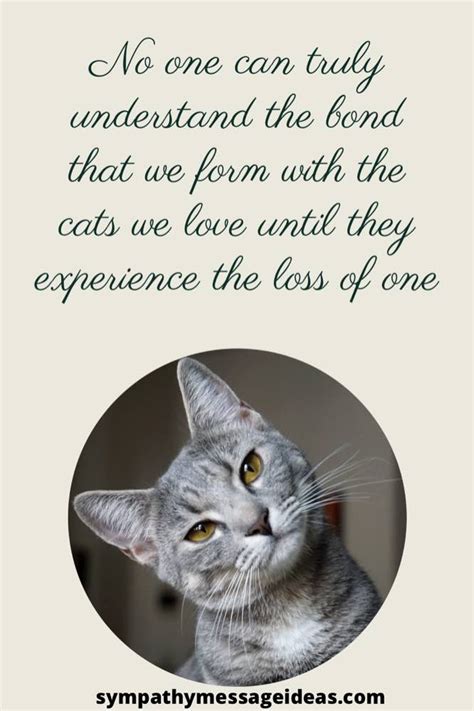 Cat Died Sad Quotes