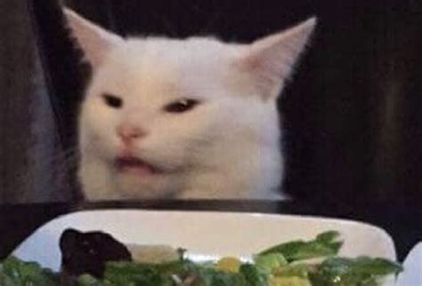 Cat Eating Salad Meme
