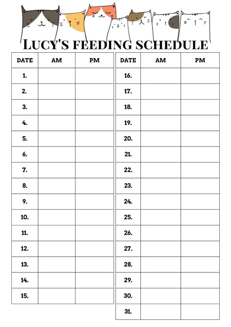 Cat Feeding Schedule Printable