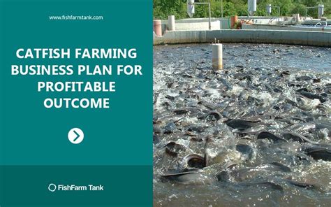 Cat Fish Farming Business Plan