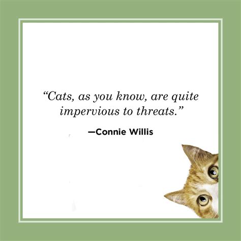 Cat Funny Quote