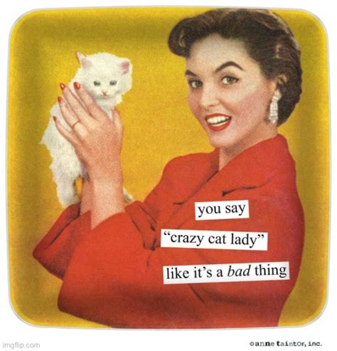 Cat Lady Meme