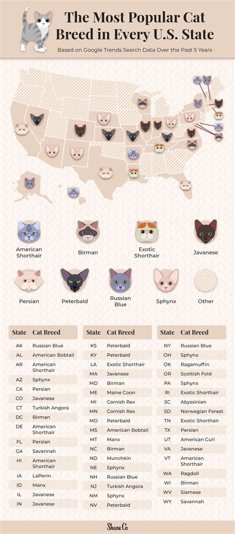 Cat Versus Dog Popularity by State, USA (map) PoC