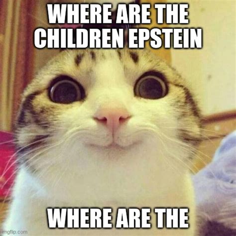 Cat Meme 2019 Epstein