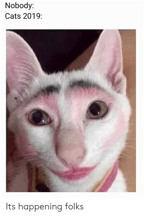 Cat Meme 2019 Face