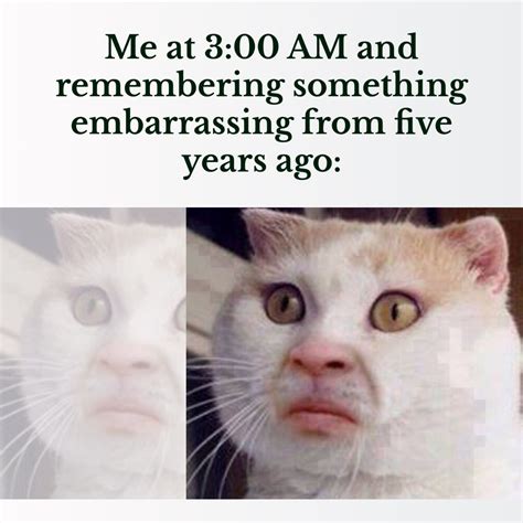 Cat Meme 2019 Template