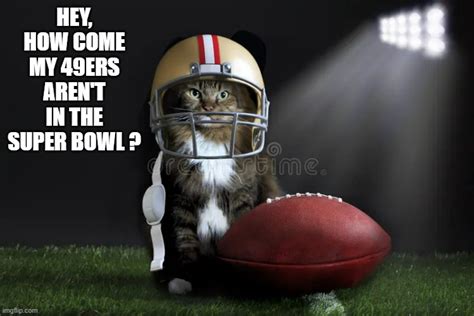 Cat Meme 49ers