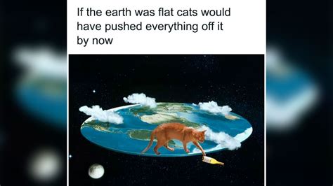 Cat Meme 4am
