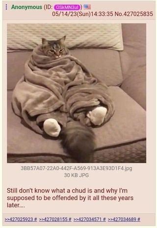 Cat Meme 4chan