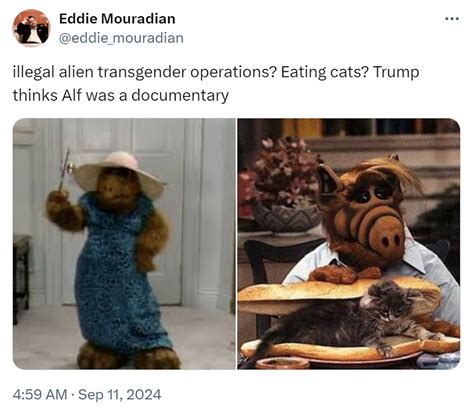 Cat Meme Alf