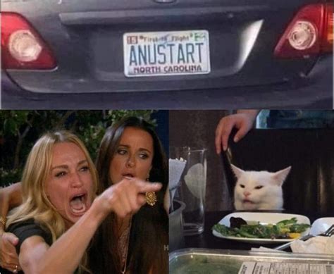 Cat Meme Anustart