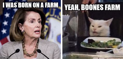 Cat Meme Boones Farm