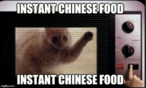 Cat Meme Chinese Food