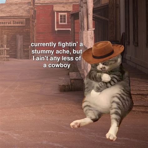 Cat Meme Cowboys