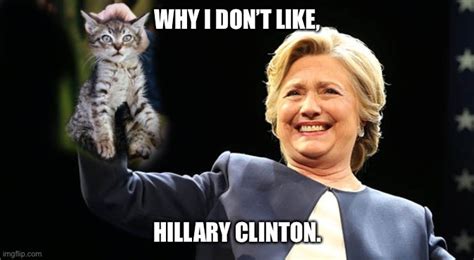 Cat Meme Hillary Clinton