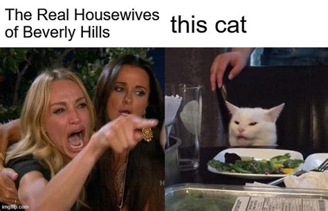Cat Meme Housewives