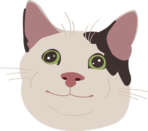 Cat Meme Icon
