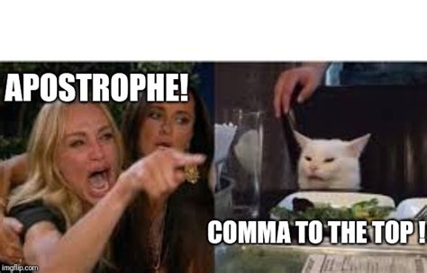 Cat Meme Lady Pointing