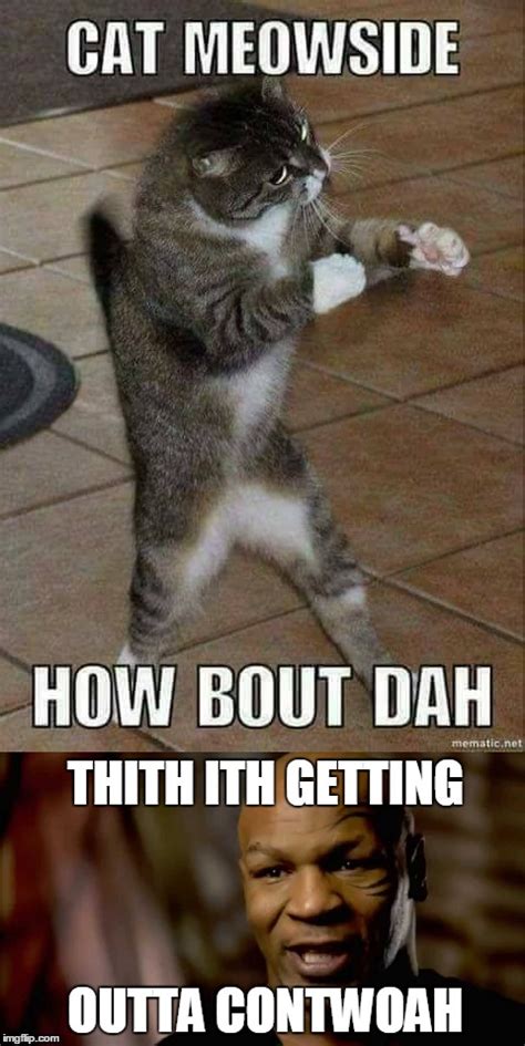 Cat Meme Mike Tyson