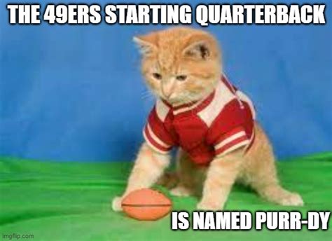 Cat Meme Nfl