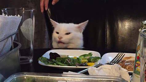 Cat Meme On Table