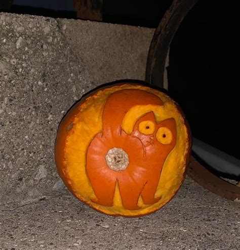 Cat Meme Pumpkin Carving