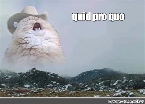 Cat Meme Quid Pro Quo