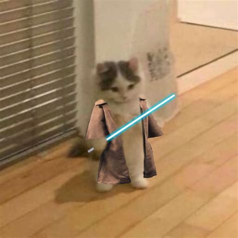 Cat Meme Star Wars