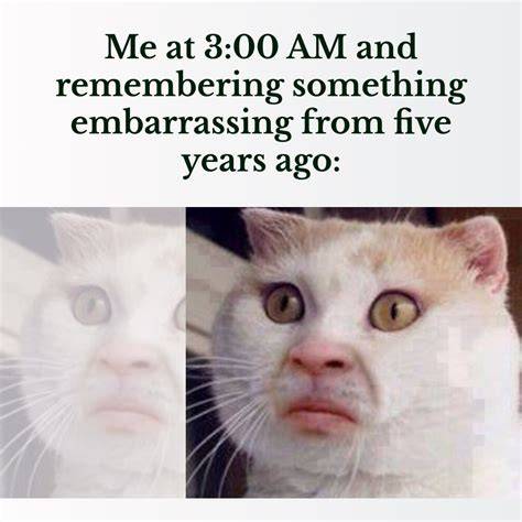 Cat Meme Template 2019