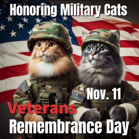 Cat Meme Veterans Day