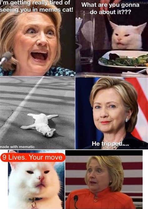 Cat Meme With Hillary